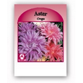 Promotional Custom Seed Packet - Aster
